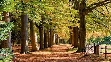 Natuurrijke omgeving